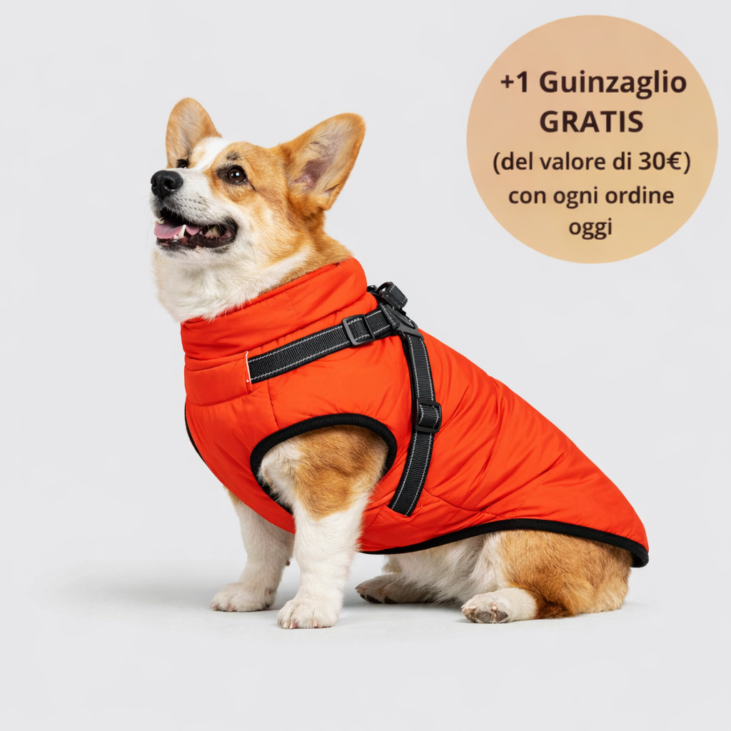 Manteau à capuche d'hiver PawFleece™