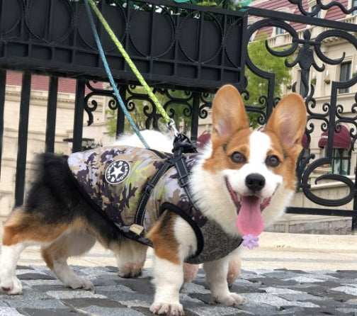 Manteau à capuche d'hiver PawFleece™
