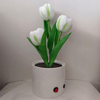LumiBloom™ LED Tulip Night Light Vase